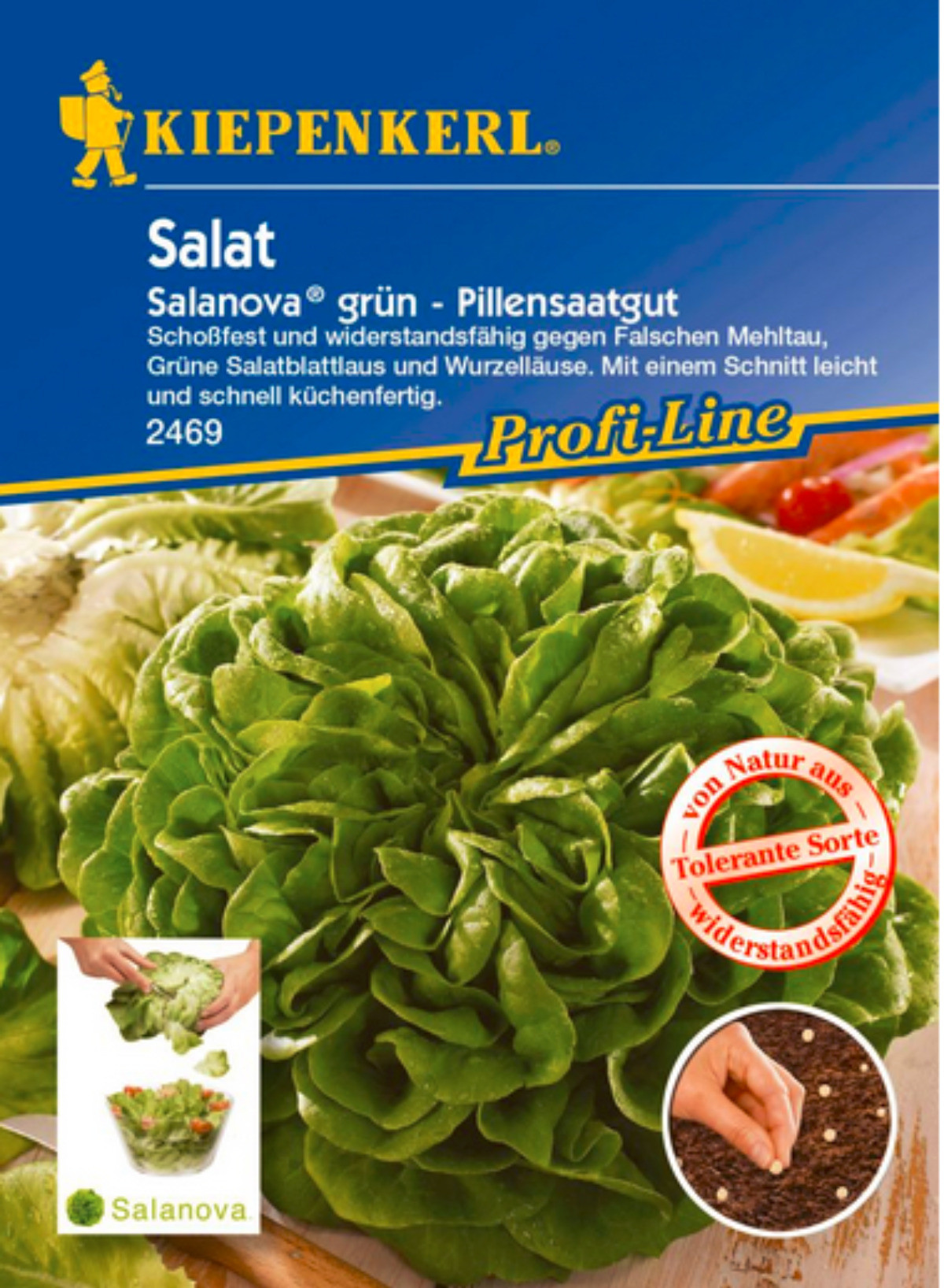 Salanova grn: Growing, Harvesting & Companion Plants
