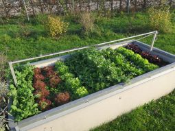 Wolfgang Palme's winter vegetable raised bed