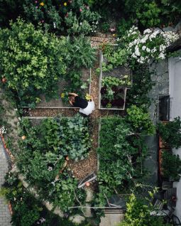 Bee-friendly self-catering garden from wuid & fluschig