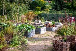 Großes Milpabeet von Ein Stück Arbeit