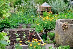 One-pot vegetable patch by Otmar Diez