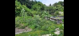 Schrebergarten