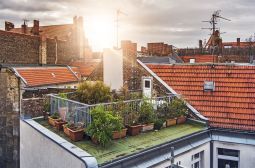 Balkonbeete: Gemüse im Topf oder Hochbeet