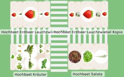Salate, Kräuter und Erdbeeren