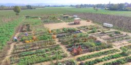 Micro-agriculture bed plan