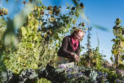 Permaculture garden by Sigrid Drage