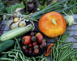 Ganzjahresgarten zum Jubiläum von Kraut & Rüben 