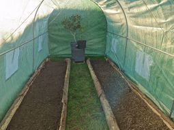 Gemüsegarten 30m2